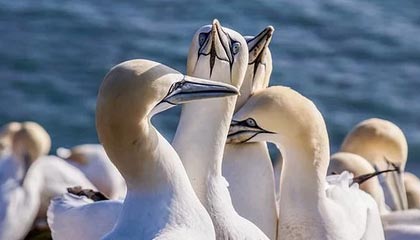 西双版纳高价上海医保提取2025的最新政策(2025年西双版纳上海医保怎么提取现金分享)