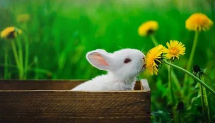 西双版纳高价上海医保提取2025的最新政策(2025年西双版纳上海医保怎么提取现金分享)